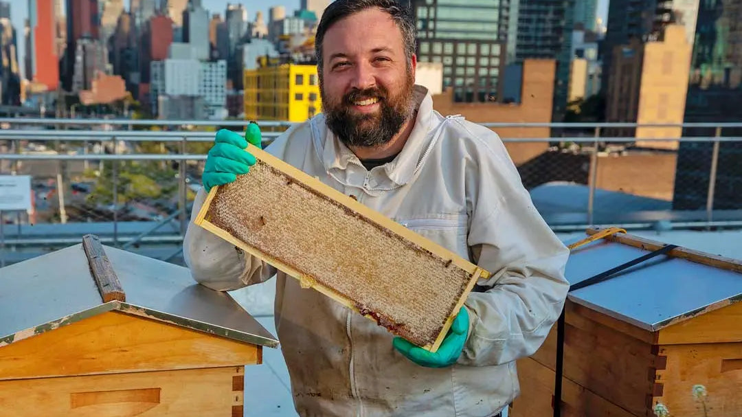 Big Apple Beekeeper