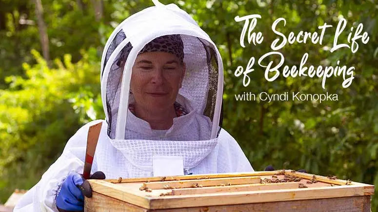 Beekeeping